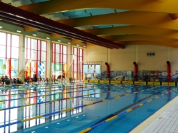 Halle DMM LS